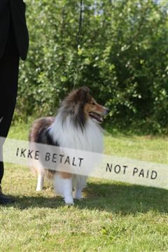 130370_se_03_IMG_7942.JPG