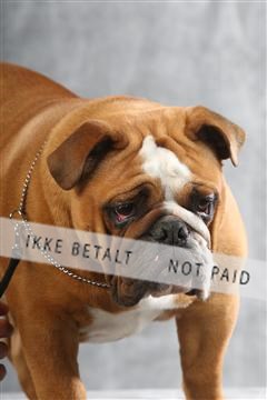 129608_le_ 02_0348.JPG