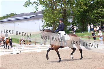 181449_bc_01R62_6638.JPG