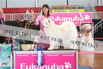6068_ma_07_IMG_7160.JPG