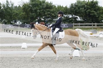 166078_rhj_01__J7R3183.JPG