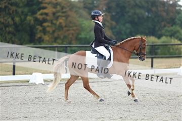 181894_mtp_05_R62_4297.JPG