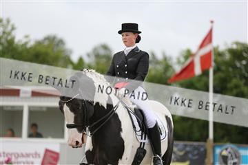 156196_nn_01_IMG_5211.JPG