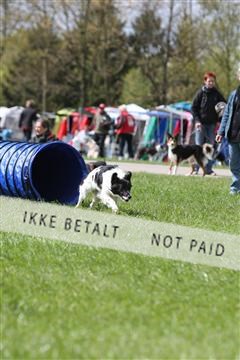 134871_ms_04_IMG_0047.JPG
