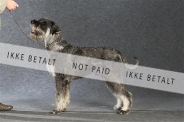 132082_le_ 01_IMG_1269.JPG
