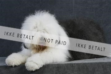 5493_sme _02__MG_9712.JPG