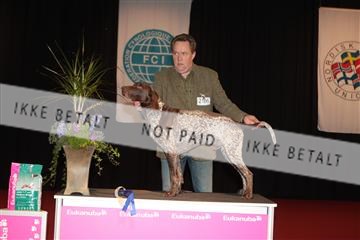 126827_tl_02_IMG_2977.JPG