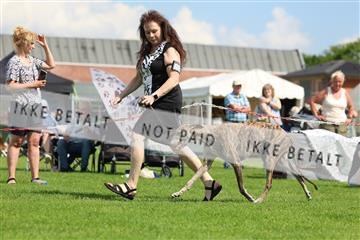 181564_rin_01_R62_9731.JPG