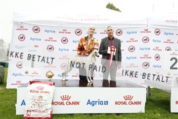 182009_kar_01__62_5892.JPG