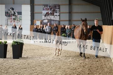 174362_kbb_01_R6II7716.JPG