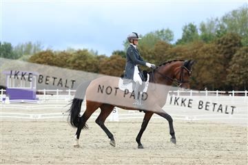 181923_mtp_04_R62_8690.JPG