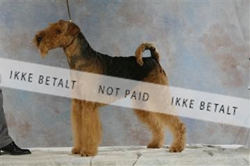 5493_sme _03__MG_9766.JPG