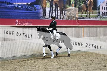 182241_kbb_01_Z094744.JPG