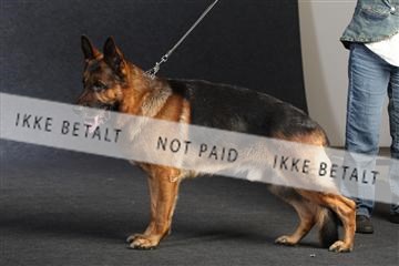 132082_le_ 01_IMG_0929.JPG