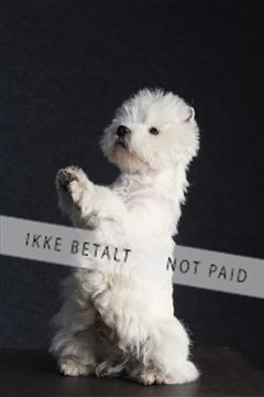 132082_le_ 01_IMG_0418.JPG