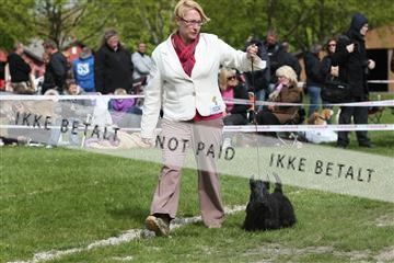 134871_ms_04_IMG_0620.JPG