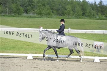 140040_abo_01__AB17317.JPG