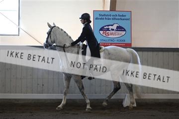 139267_kl_1_8M1Q6884.JPG