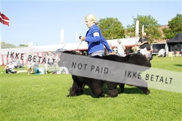 181564_kar_01__62_8252.JPG