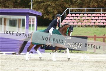 181923_mtp_03_R62_8109.JPG