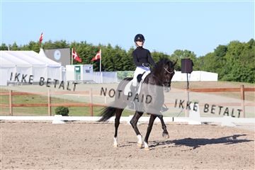 181449_bc_01R62_6346.JPG