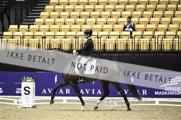182194_kbb_02_Z098251.JPG