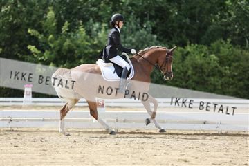 156196_nn_01_IMG_6260.JPG