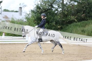 156196_nn_01_IMG_6125.JPG