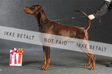 132082_le_ 01_IMG_1350.JPG