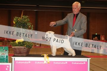 124188 _tl_02_IMG_9696.JPG