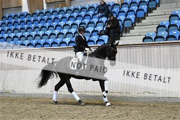 182241_kbb_01_Z094861.JPG