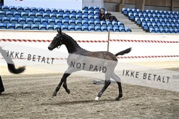 181754_kbb_01_Z092745.JPG