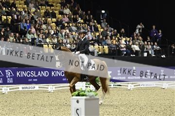 182194_kbb_03_Z092068.JPG