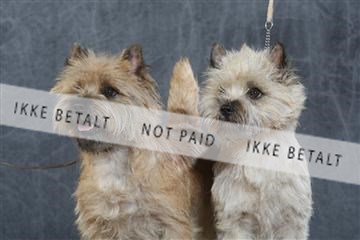 130054_le_ 03_0064.JPG