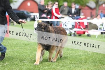 134871_ms_04_IMG_1023.JPG