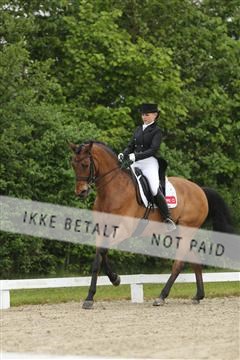 139835_sg_02_IMG_8717.JPG