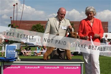 130370_se_03_IMG_7731.JPG