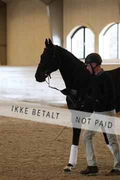 139266_kl_1_8M1Q7296.JPG
