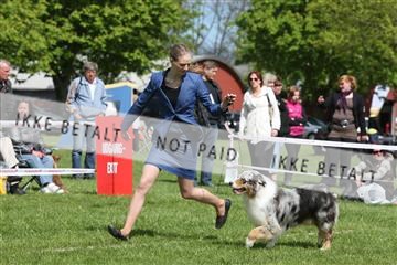 134871_ms_04_IMG_0307.JPG