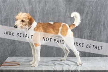 129608_le_ 01_0372.JPG