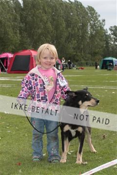 126168_tl_01_IMG_0130.JPG
