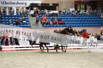 181957_mtp_08_R62_5608.JPG