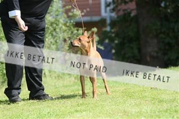 130370_se_02_IMG_5939.JPG