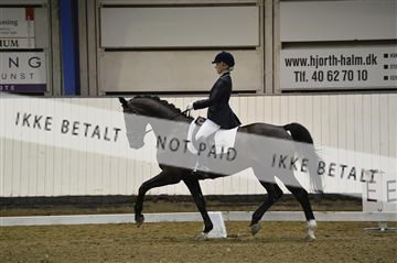140040_abo_01__AB17748.JPG