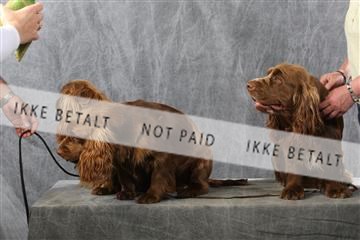 129608_le_ 01_0749.JPG