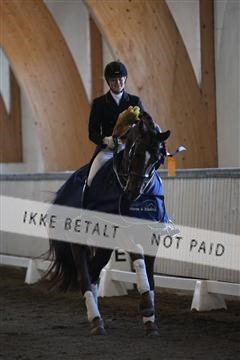 139267_kl_1_8M1Q6739.JPG