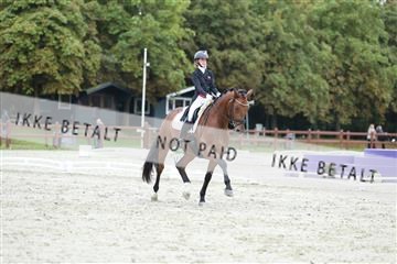 181923_mtp_01_R62_6703.JPG