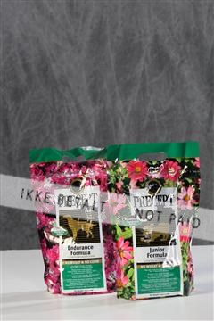 128239_le_kort_ 01_0168.JPG