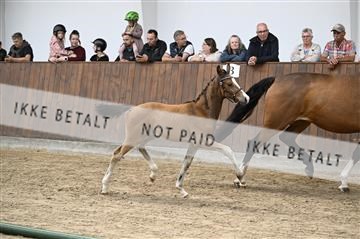 181739_kbb_01_Z091168.JPG