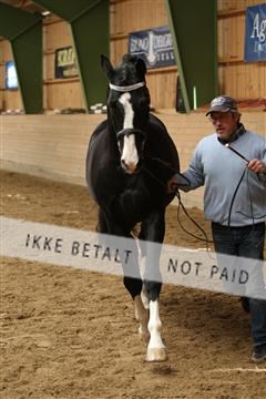 139265_kl_1_8M1Q6225.JPG